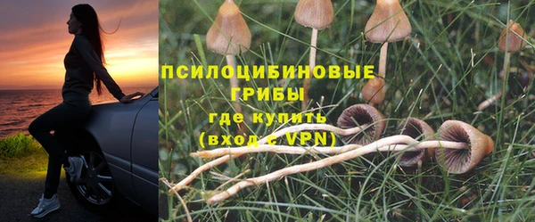 СК Нея