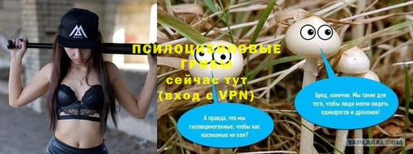 твердый Нефтекумск