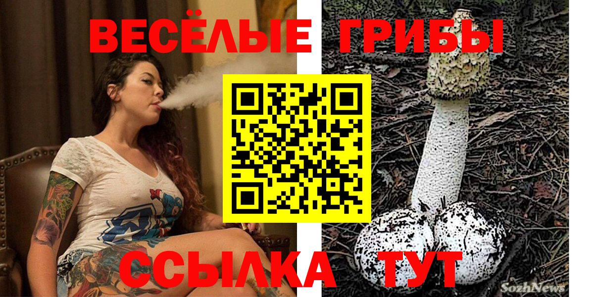 Галлюциногенные грибы Psilocybe Заволжье