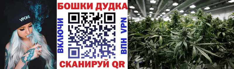 купить закладку  Заволжье  Шишки марихуана MAZAR 
